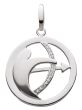 Sternezeichen Anhänger