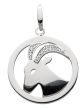 Sternezeichen Anhänger