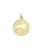 Sternzeichen Anhänger