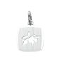 Sternzeichen Anhänger