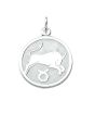 Sternzeichen Anhänger