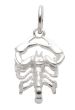 Sternzeichen Anhänger
