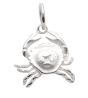 Sternzeichen Anhänger