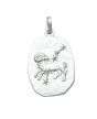 Sternzeichen Anhänger