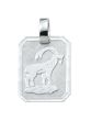 Sternzeichen Anhänger